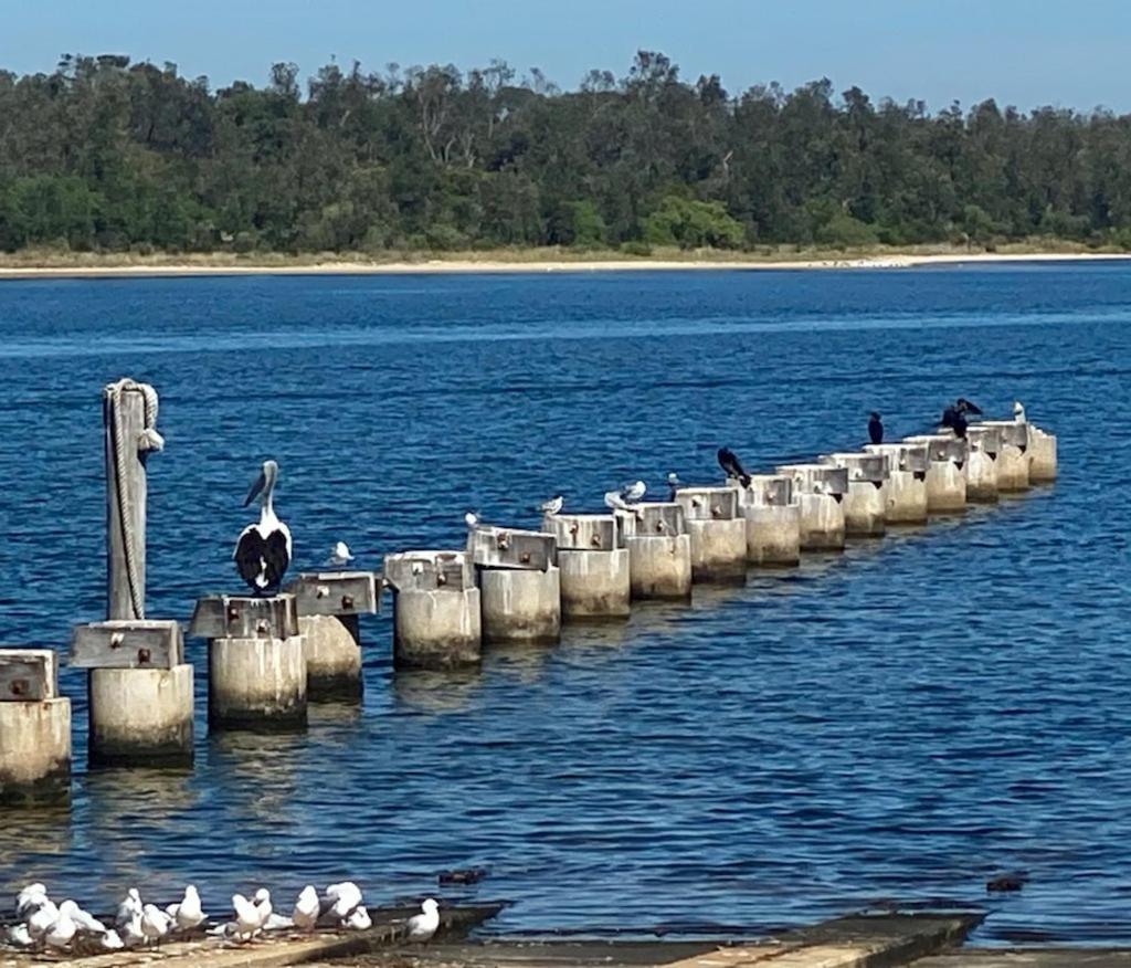 Sandbar Motel Lakes Entrance Ngoại thất bức ảnh
